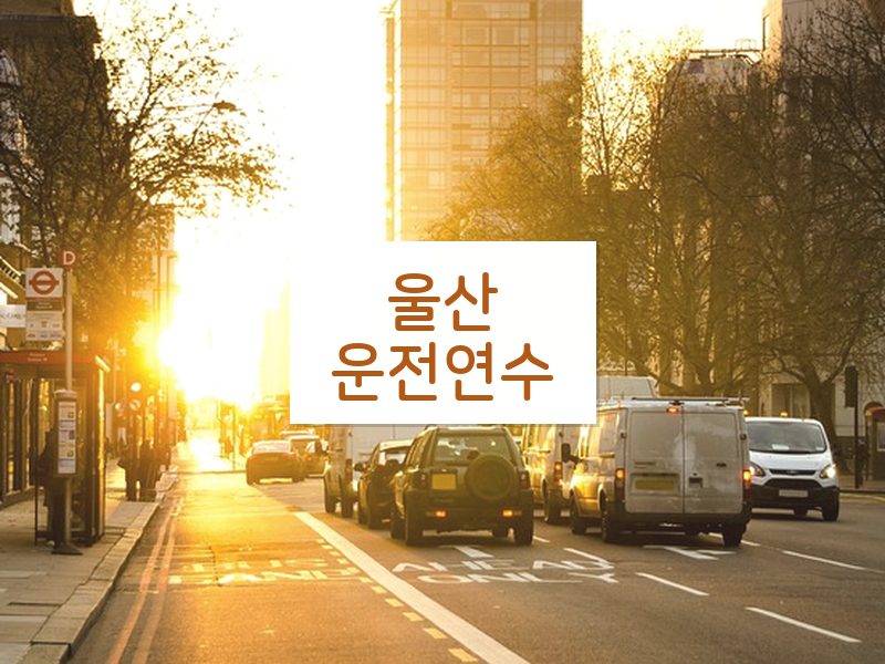울산운전연수 후기