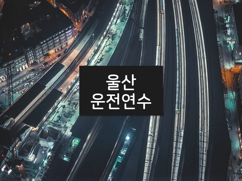 울산운전연수 후기