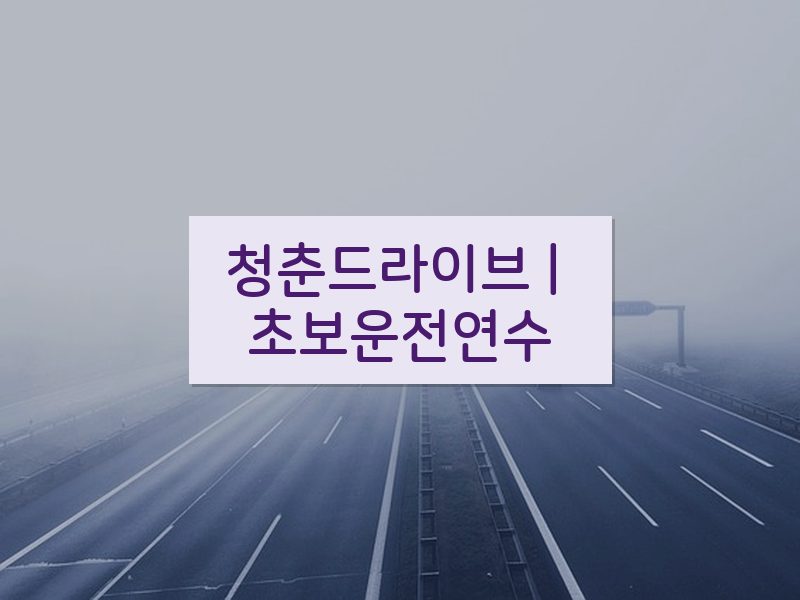 청춘드라이브 | 초보운전연수 후기