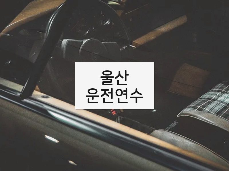 울산운전연수 후기