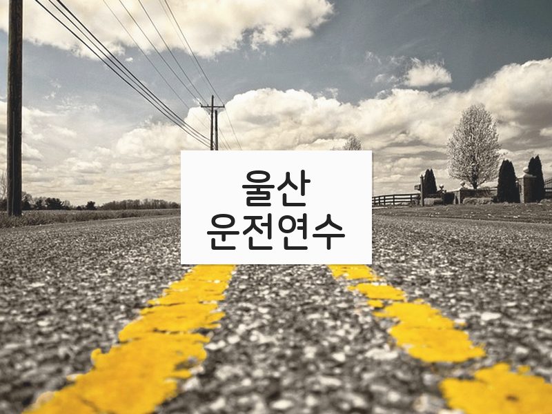 울산운전연수 후기