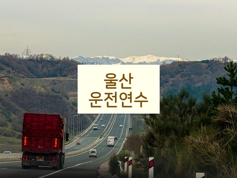 울산운전연수 후기