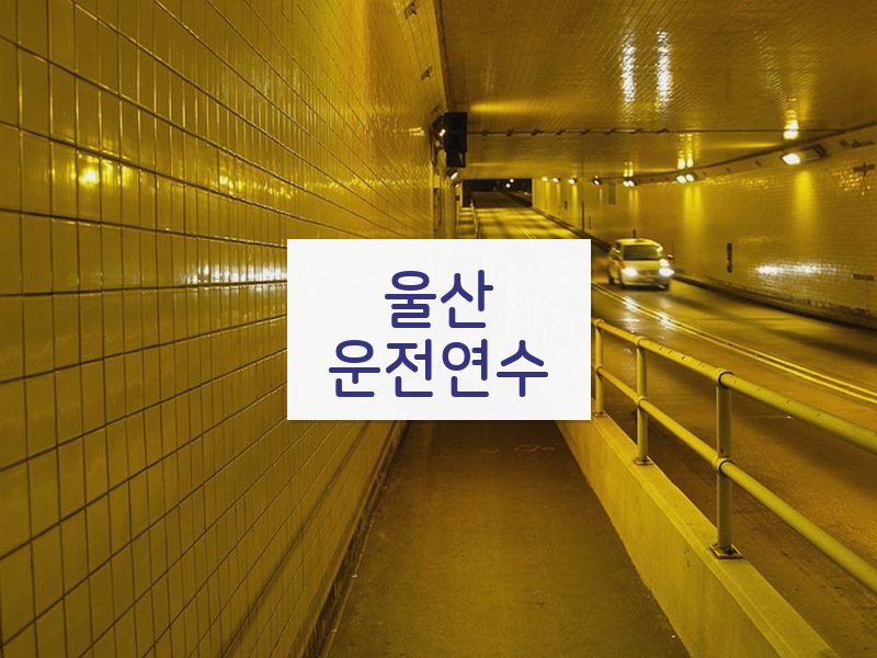 울산운전연수 후기