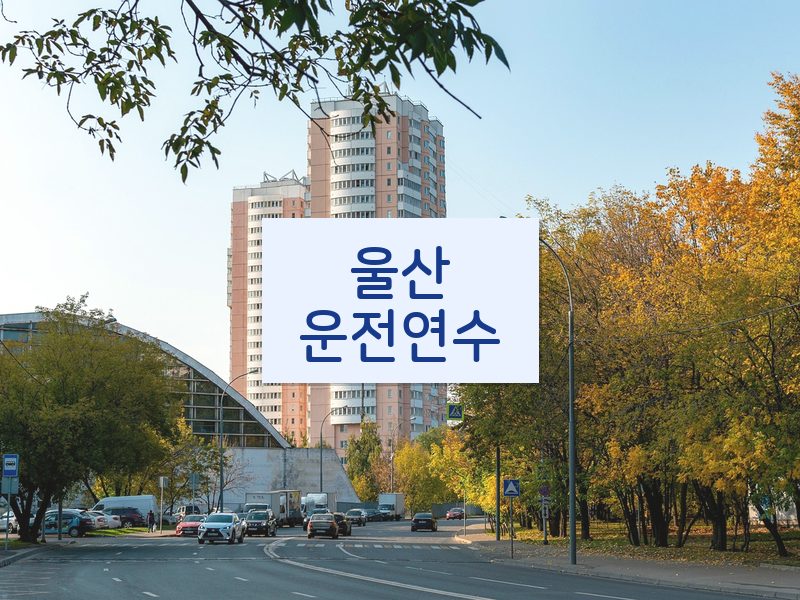 울산운전연수 후기