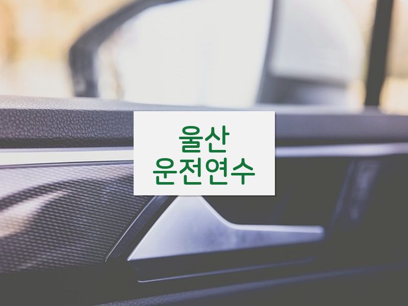 울산운전연수 후기