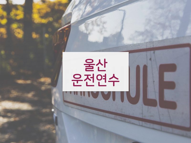 울산운전연수 후기