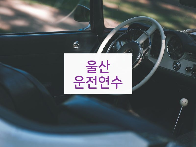 울산운전연수 후기