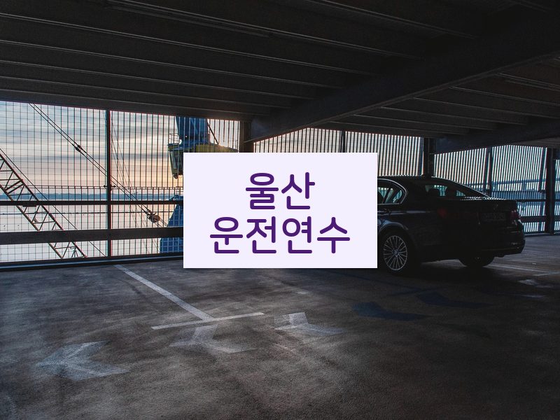 울산운전연수 후기