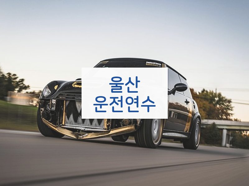울산운전연수 후기
