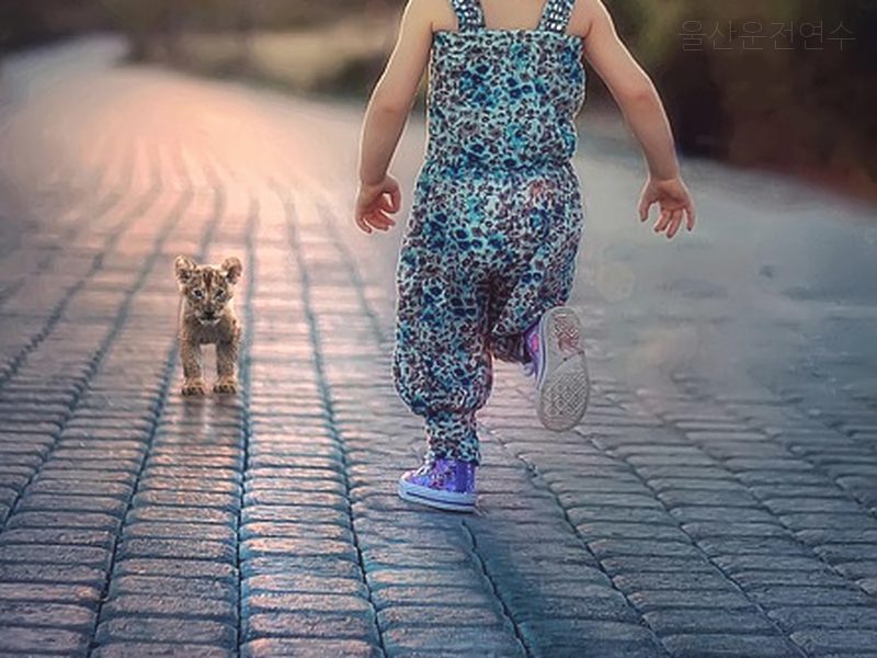 울산운전연수 후기