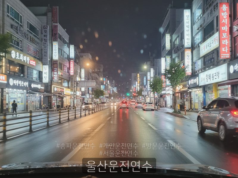 울산운전연수 후기