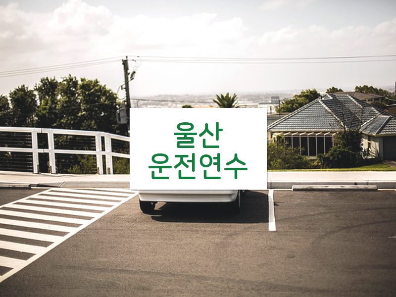 울산운전연수 후기