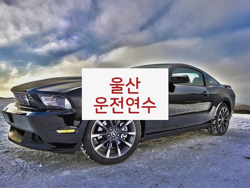 울산운전연수 후기