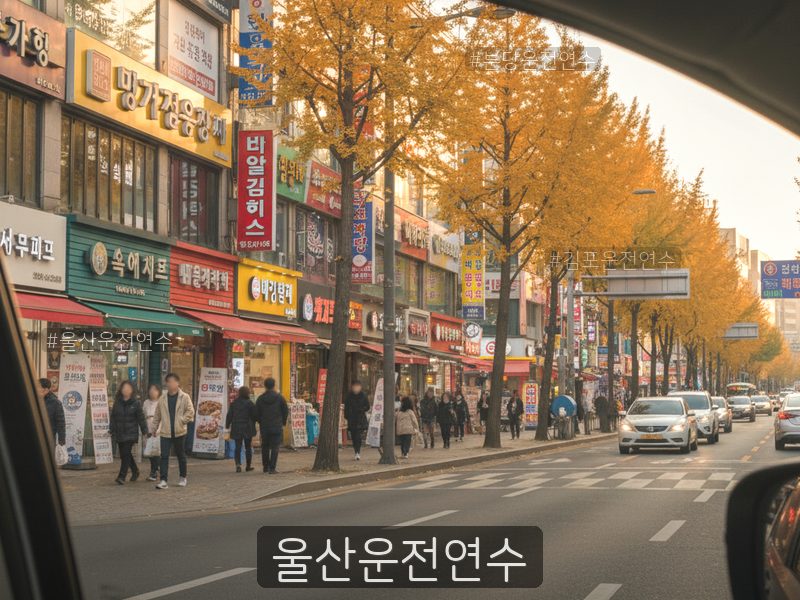 울산운전연수 후기