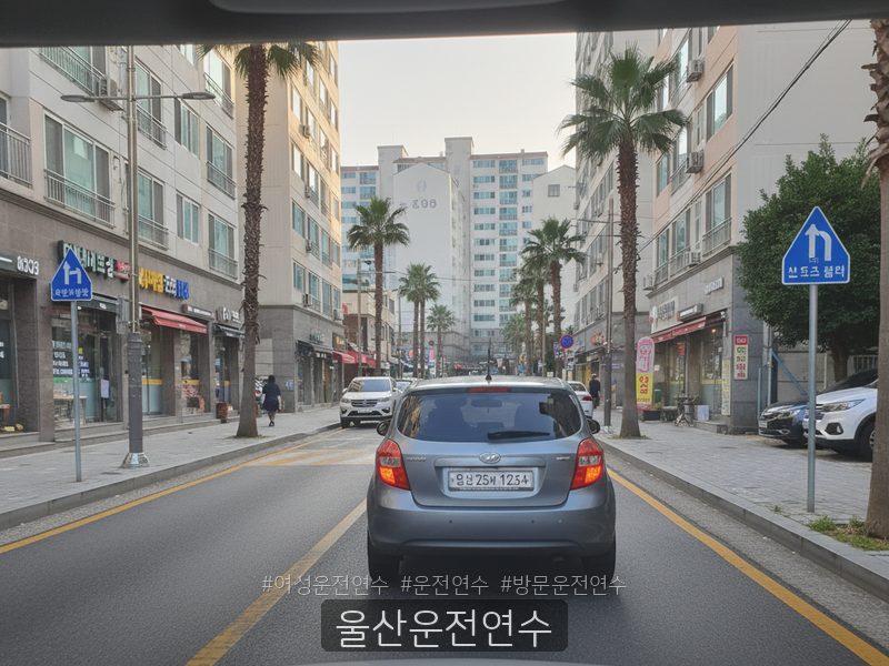 울산운전연수 후기