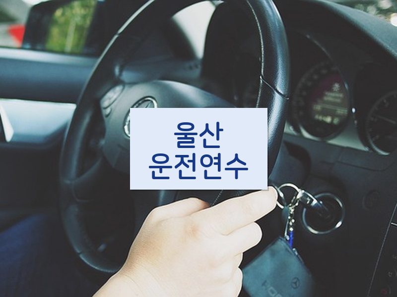 울산운전연수 후기