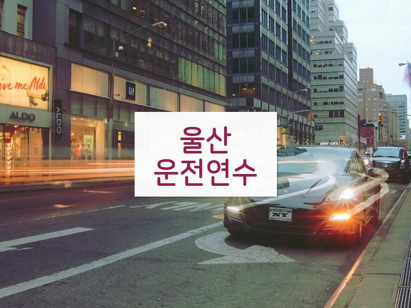울산운전연수 후기