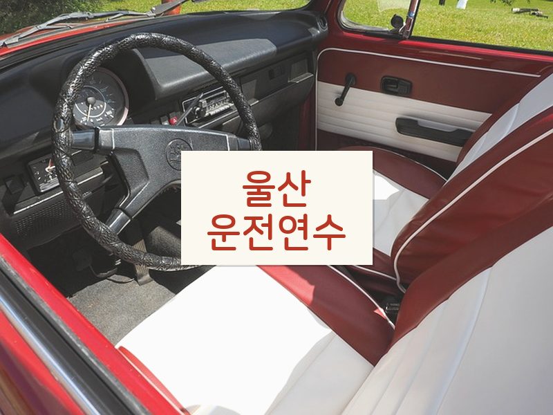 울산운전연수 후기