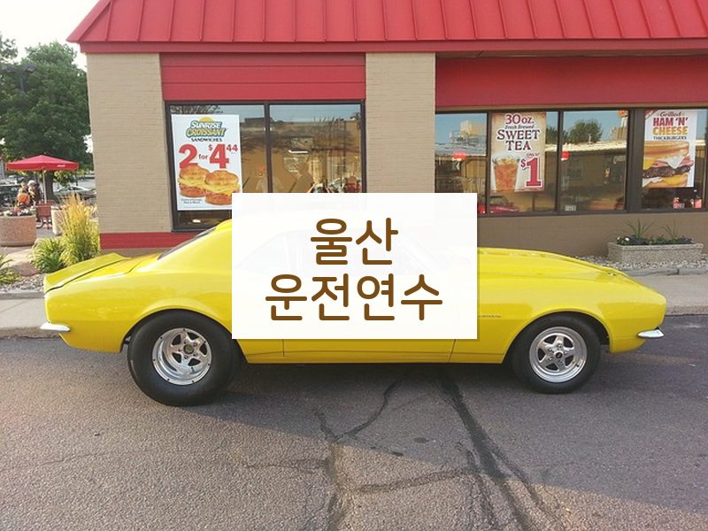 울산운전연수 후기