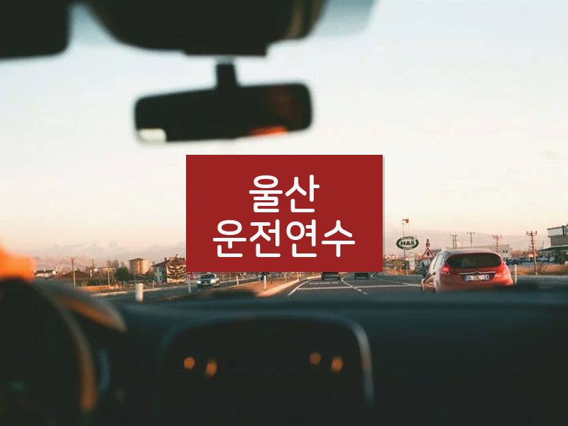 울산운전연수 후기
