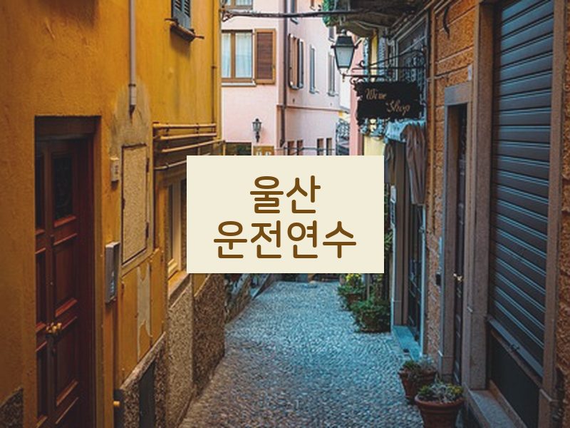 울산운전연수 후기