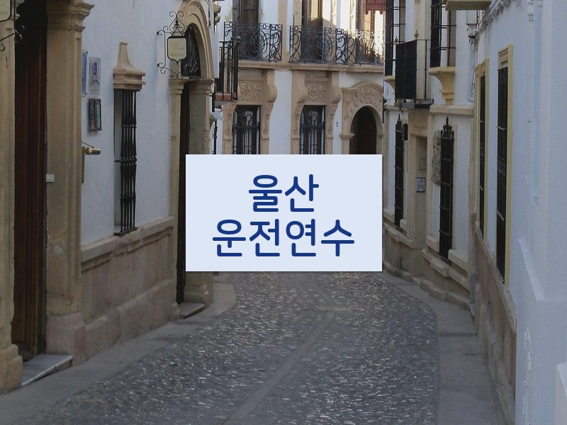 울산운전연수 후기