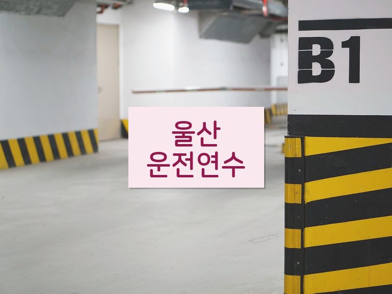 울산운전연수 후기