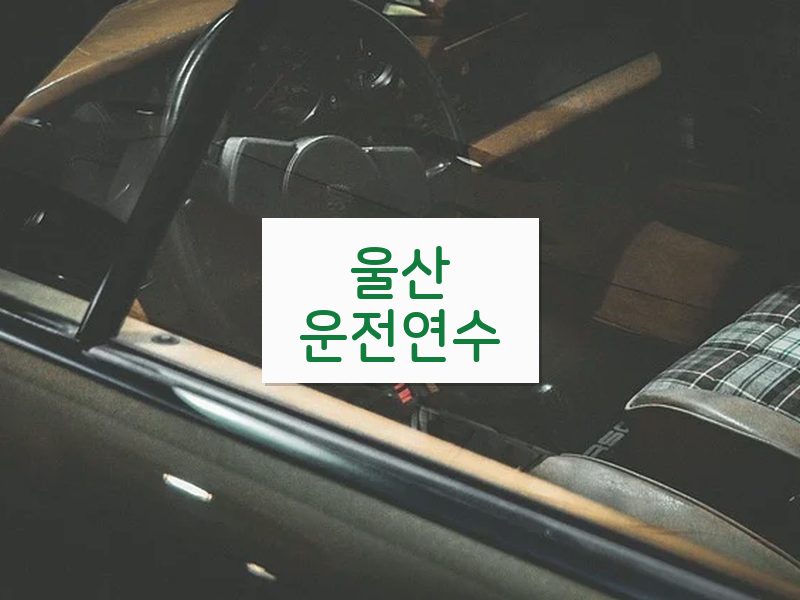울산운전연수 후기