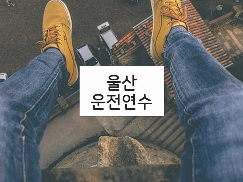 울산운전연수 후기