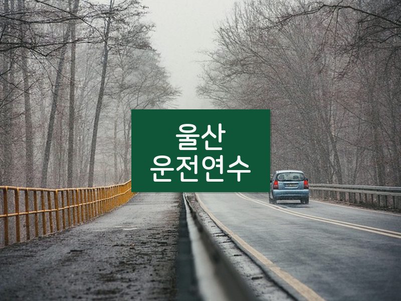 울산운전연수 후기