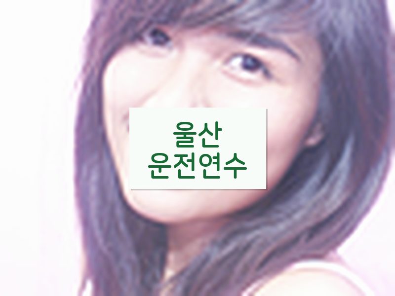 울산운전연수 후기