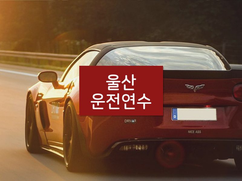 울산운전연수 후기