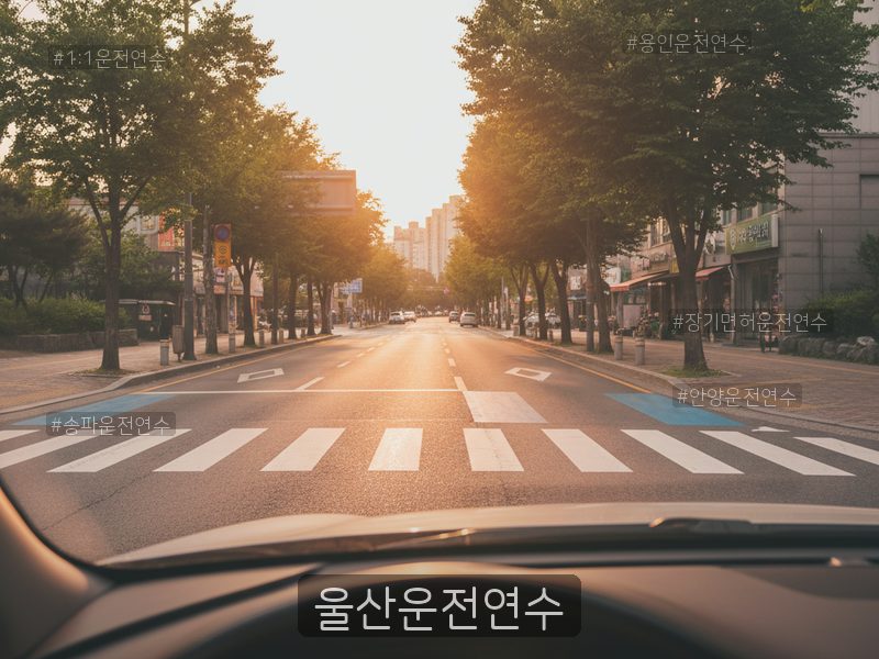 울산운전연수 후기