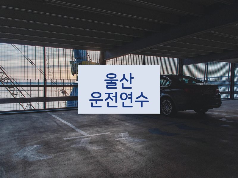 울산운전연수 후기