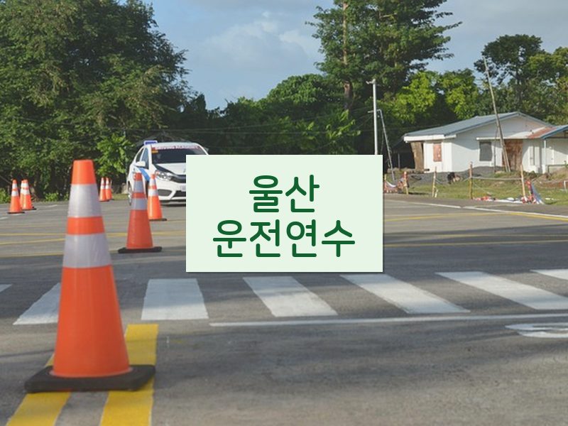 울산운전연수 후기