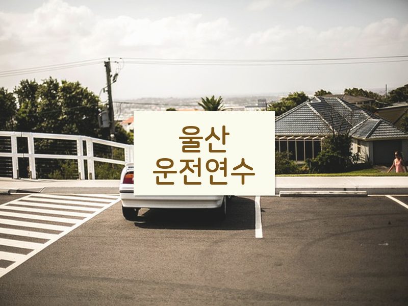 울산운전연수 후기