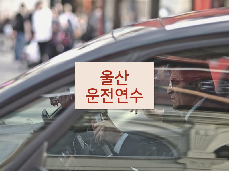 울산운전연수 후기