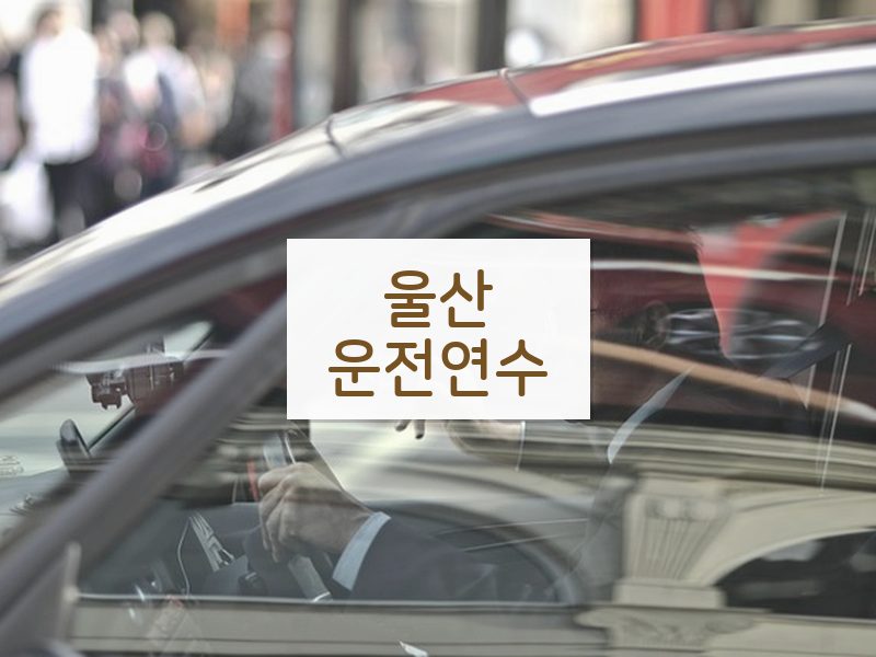 울산운전연수 후기