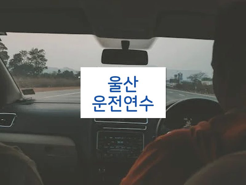 울산운전연수 후기