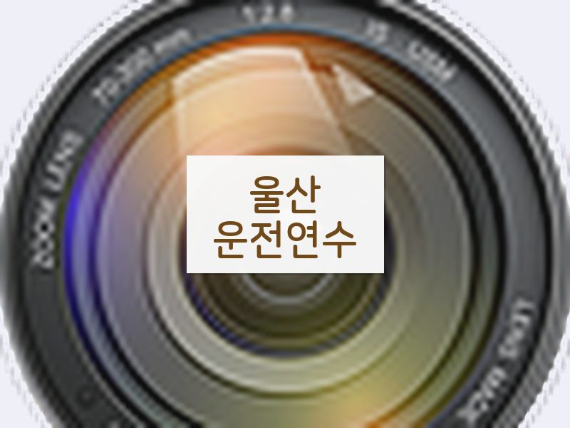 울산운전연수 후기