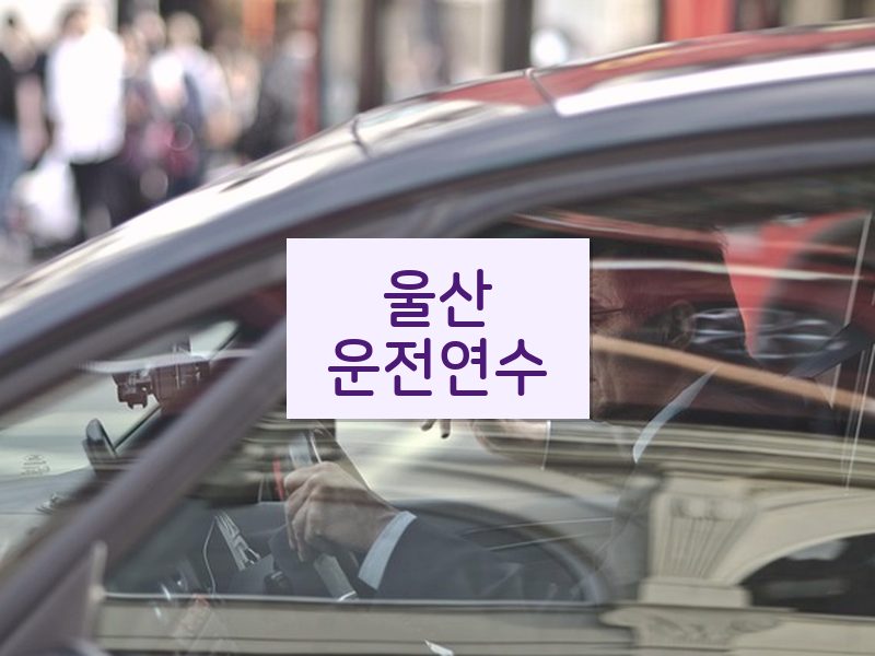 울산운전연수 후기