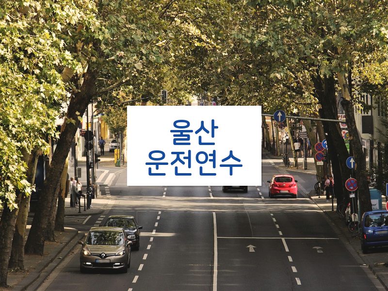 울산운전연수 후기