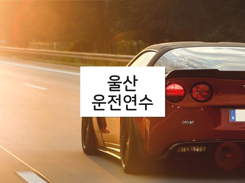 울산운전연수 후기