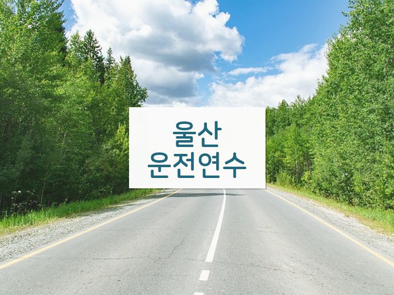 울산운전연수 후기