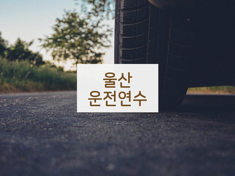 울산운전연수 후기
