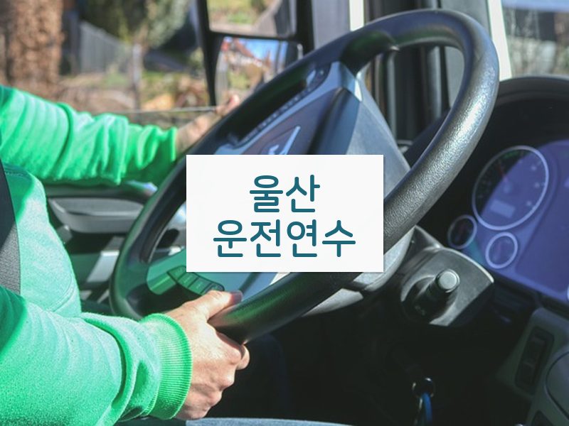 울산운전연수 후기