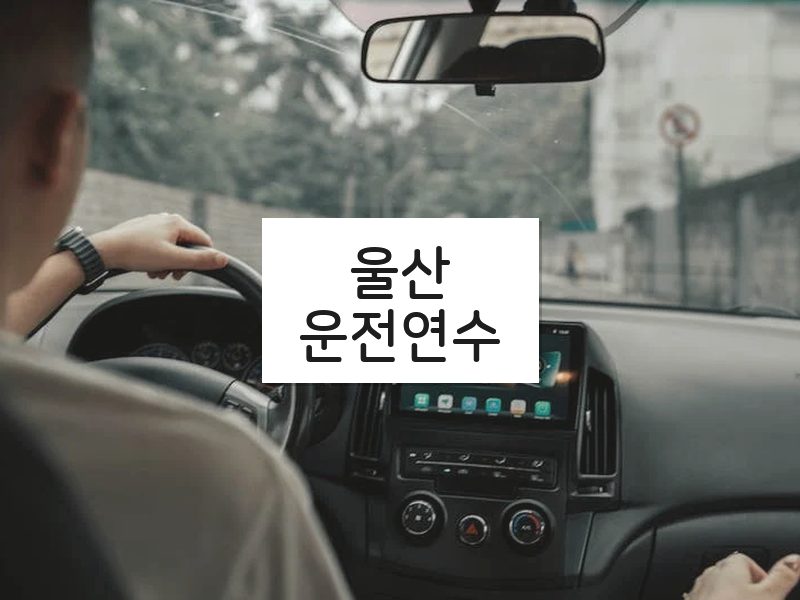 울산운전연수 후기