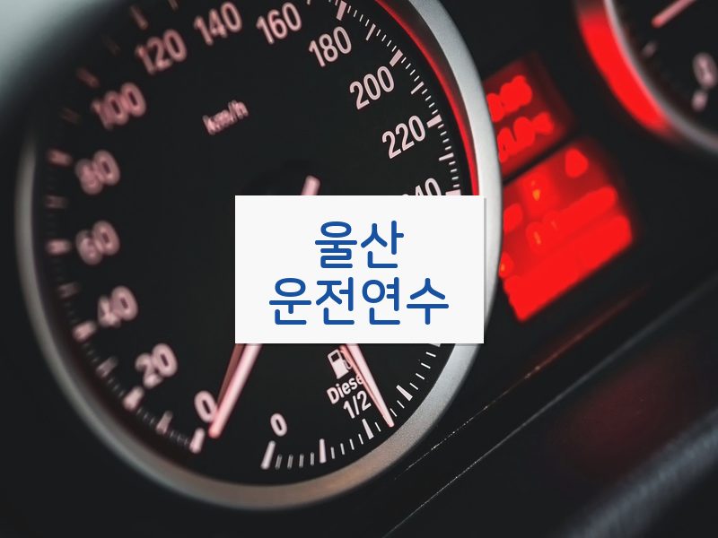 울산운전연수 후기