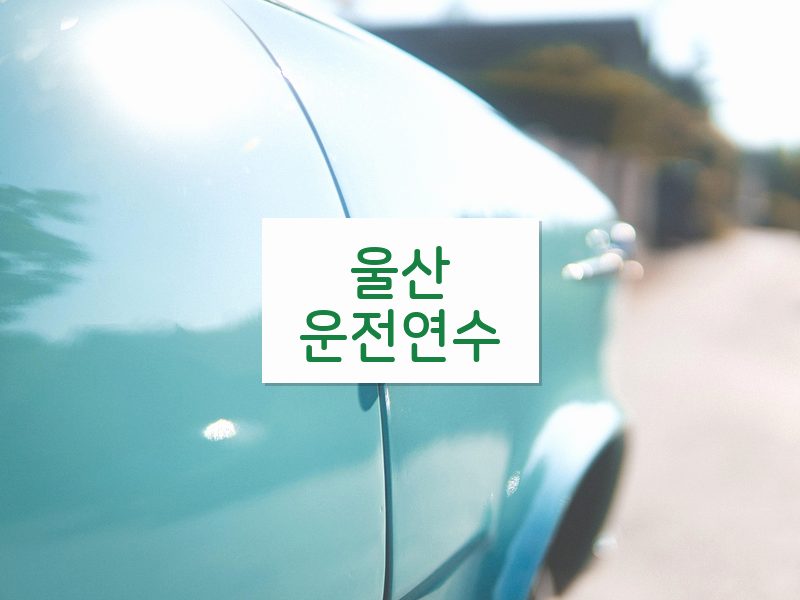 울산운전연수 후기