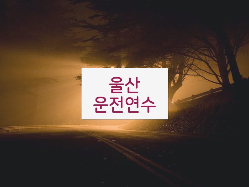 울산운전연수 후기